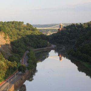Avon Gorge and Downs Wildlife Project